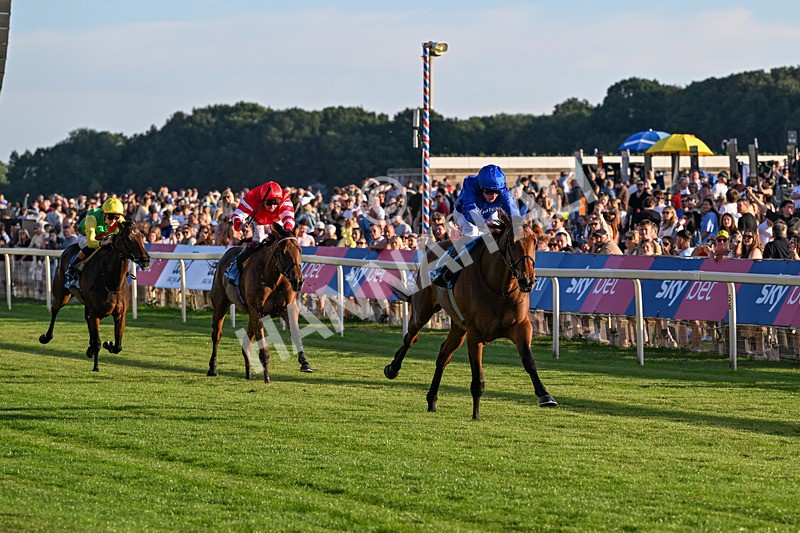 240726-Race 5-Diamond Rain-5482 - Race 5 19.50pm British EBF Lyric Fillies' Stakes