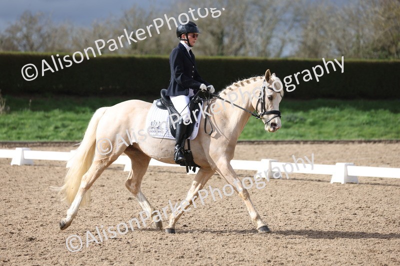 20260301-0649 - Class 4 - Novice 5