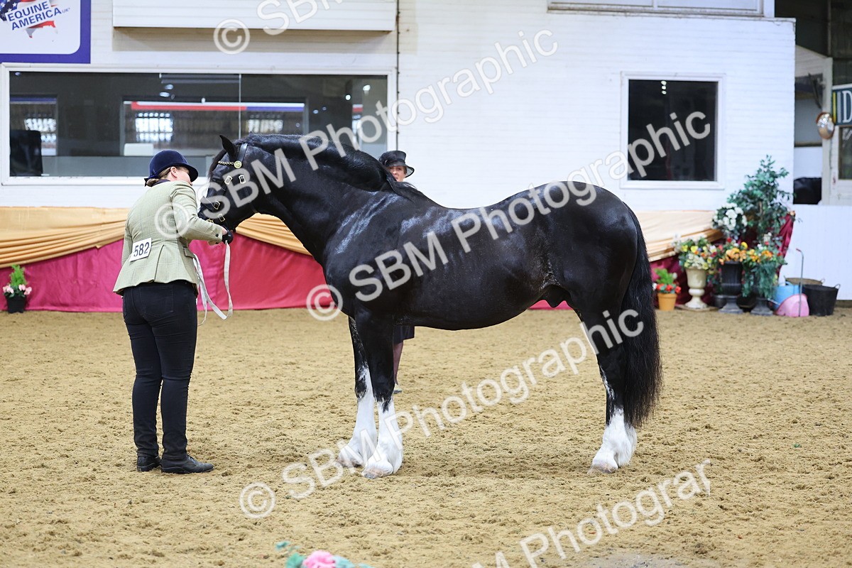 SBM_21051 - Class 902 - Supreme Final IH Veteran