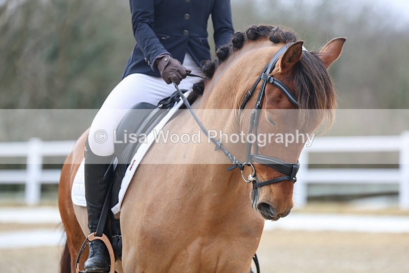 3E7A0495 - Class 3: Prelim 1 2024 Section A - part two