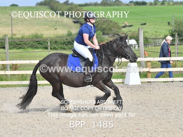 BPP_1485 - DERBY CLASS 3 - 40CM