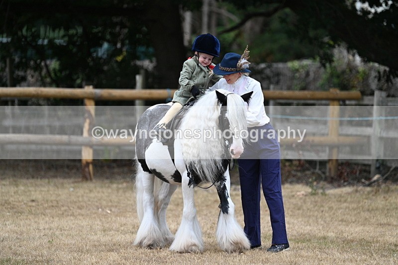 WJ7_6607 - Class 1 Lead Rein Pony