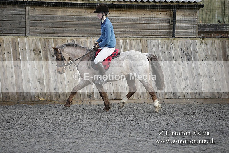 BVRC 050320 0015 - Bourne Valley riding Club Show Jumping Tidworth 08/03/20
