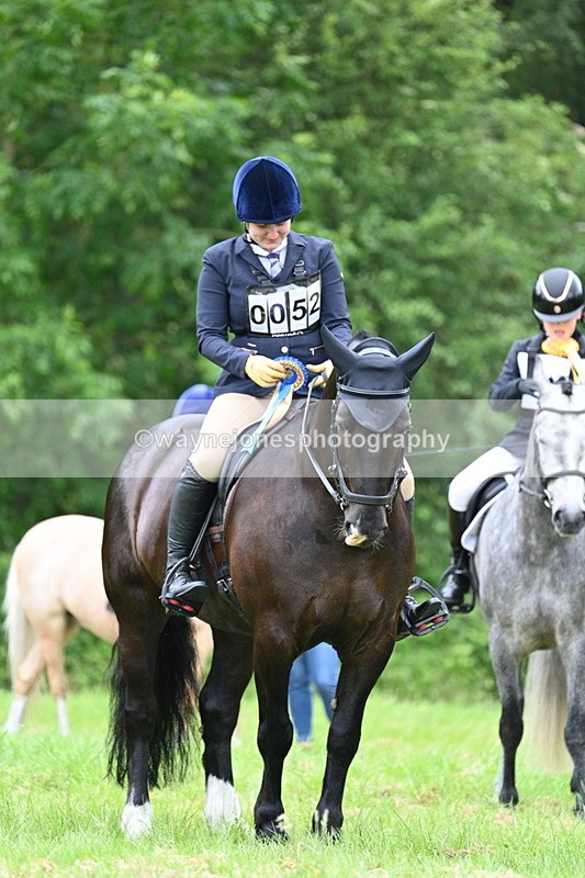 WJ7_4236 - Class 14A Handsome Gelding