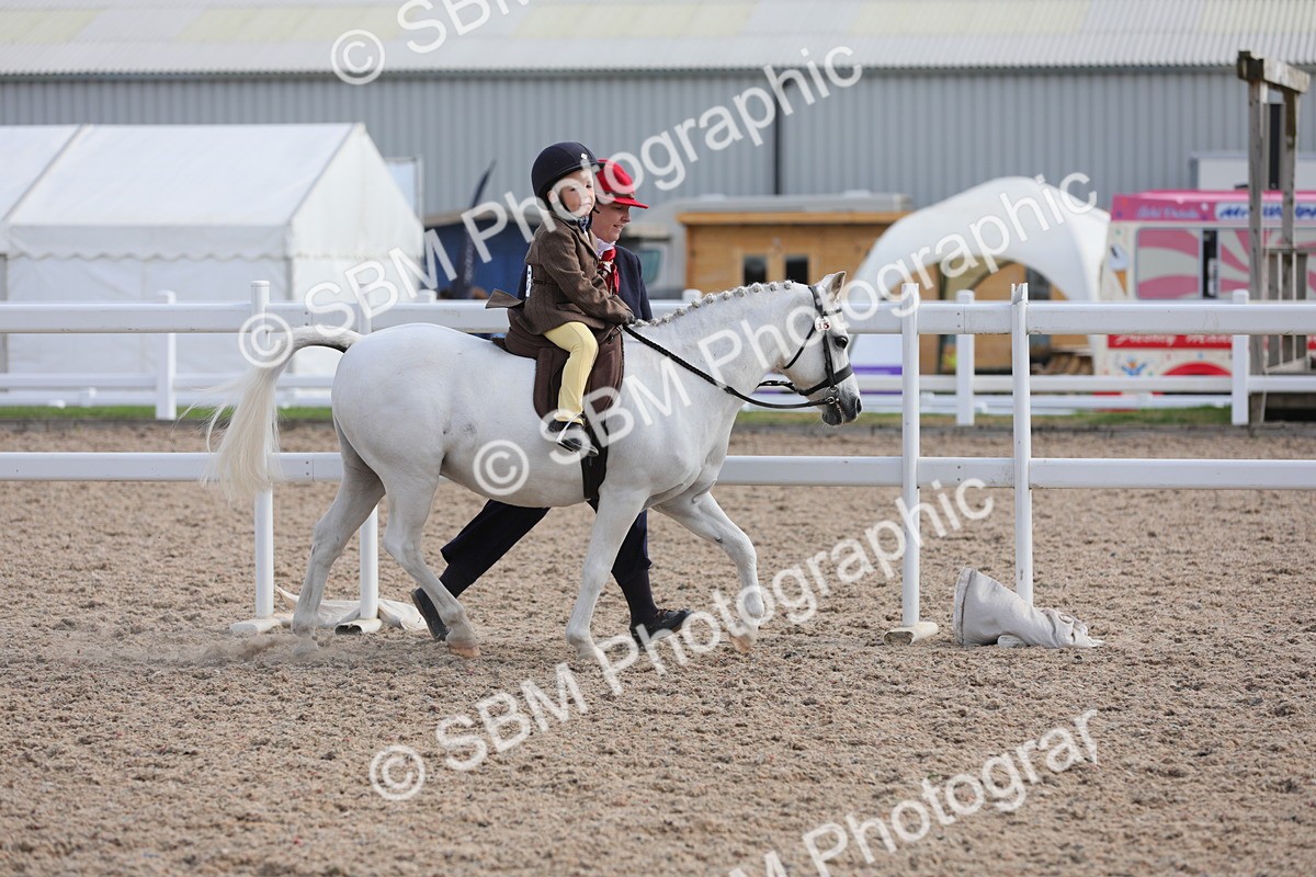 SBM_13977 - Class 309 Lead Rein Pony