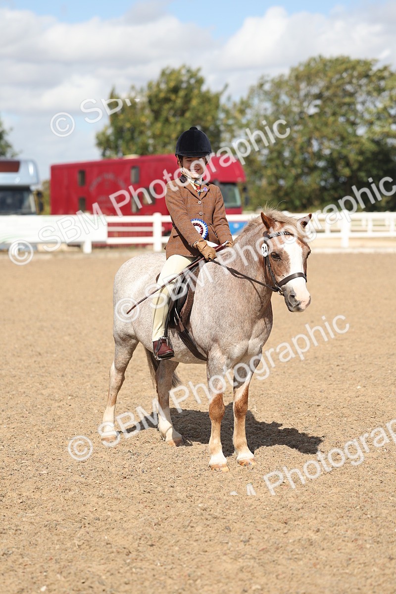 SBM_23186 - Class 806 - Young Rider 10ry and Under
