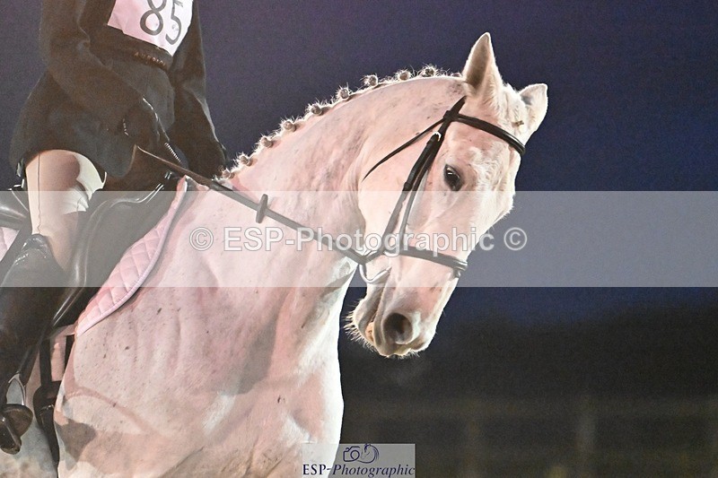 231105-171623-04643 - Cls 5 Novice 27 17.00 to End