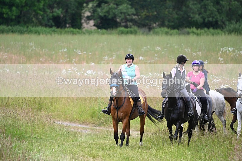 WJ6_8343 - Camera 1 Gallops