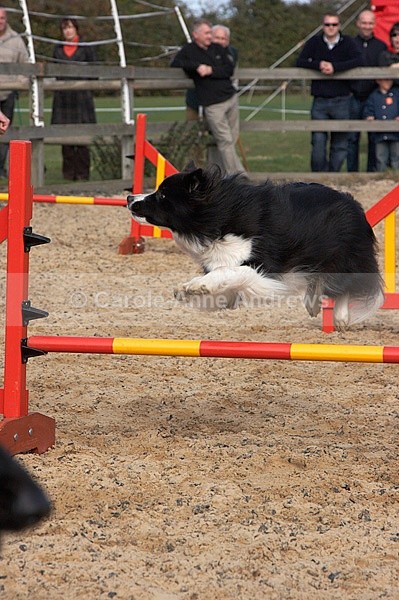  - Greenstead Green Farm Shop Animal Open Day
