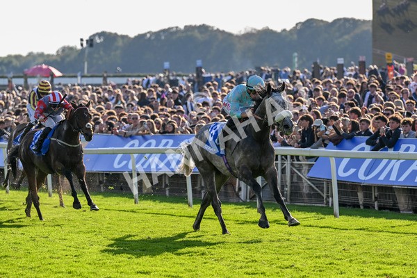 111025-Race 4-Binhareer-0463 - Race 4 Coral Sprint Trophy Handicap at York