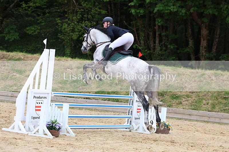 3E7A6427 - Class 4: Senior British Novice/90cm open