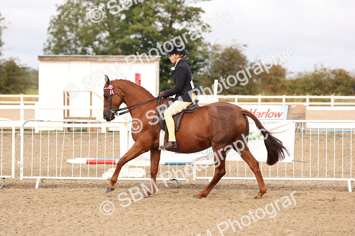 SBM_01566 - Class 52 - Ridden Veteran