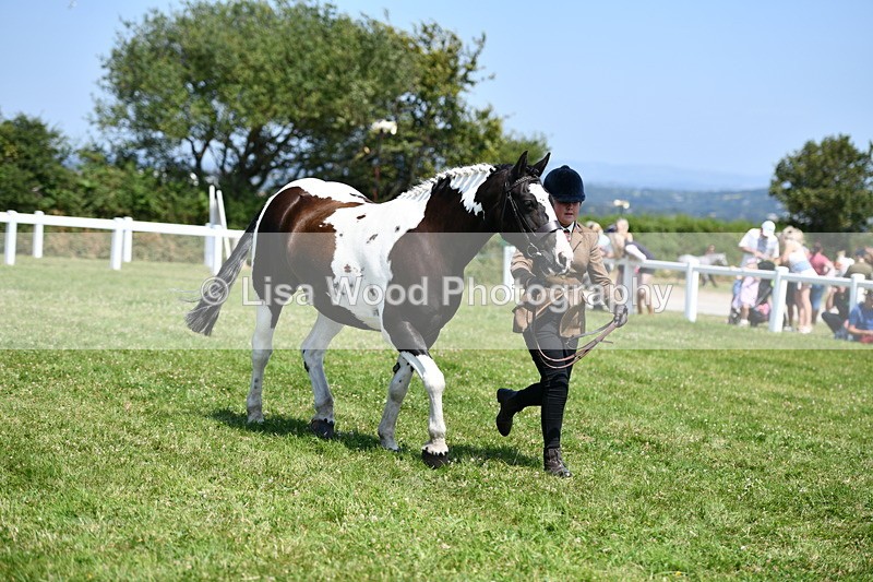 DSC_7739 - Class 64: Coloured Pony 4yrs & over