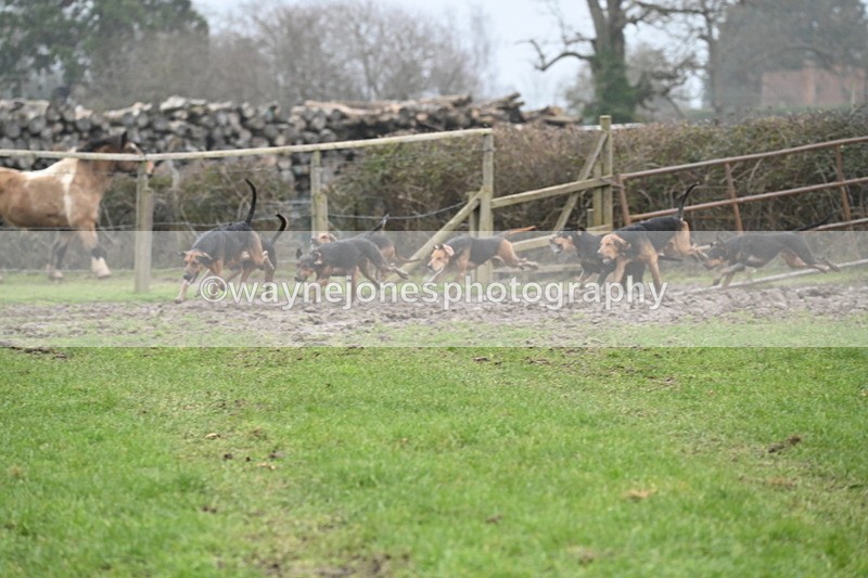 WJ6_5869 - Camera A