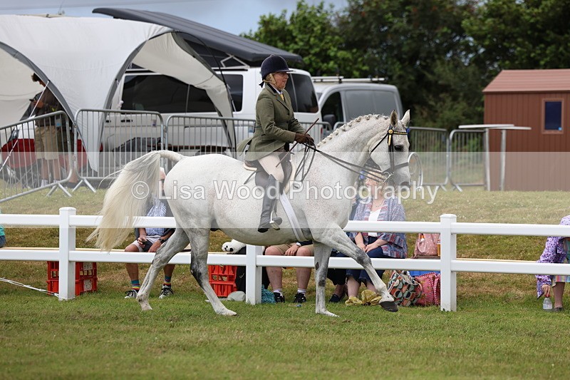 3E7A0903 - Class 8: Open Riding Horse/Hack