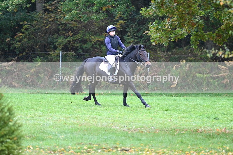 WJ7_2991 - Time 10:47 to 11:11 at the water