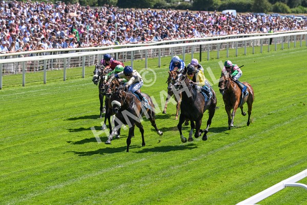 120725-Race 2-Washington Heights-5594 - Race 2 2.35pm John Smith's City Walls Stakes