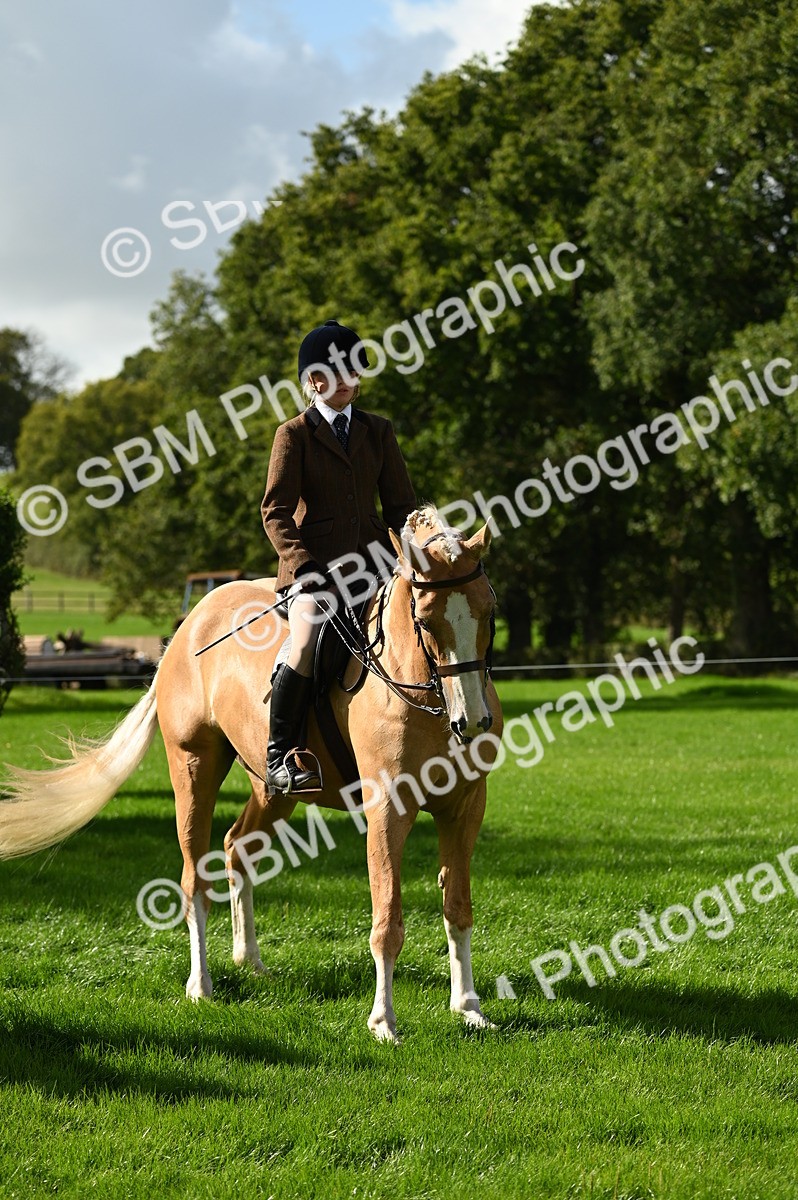 SBM_01638 - S2 - TSR Ridden Horse Showing