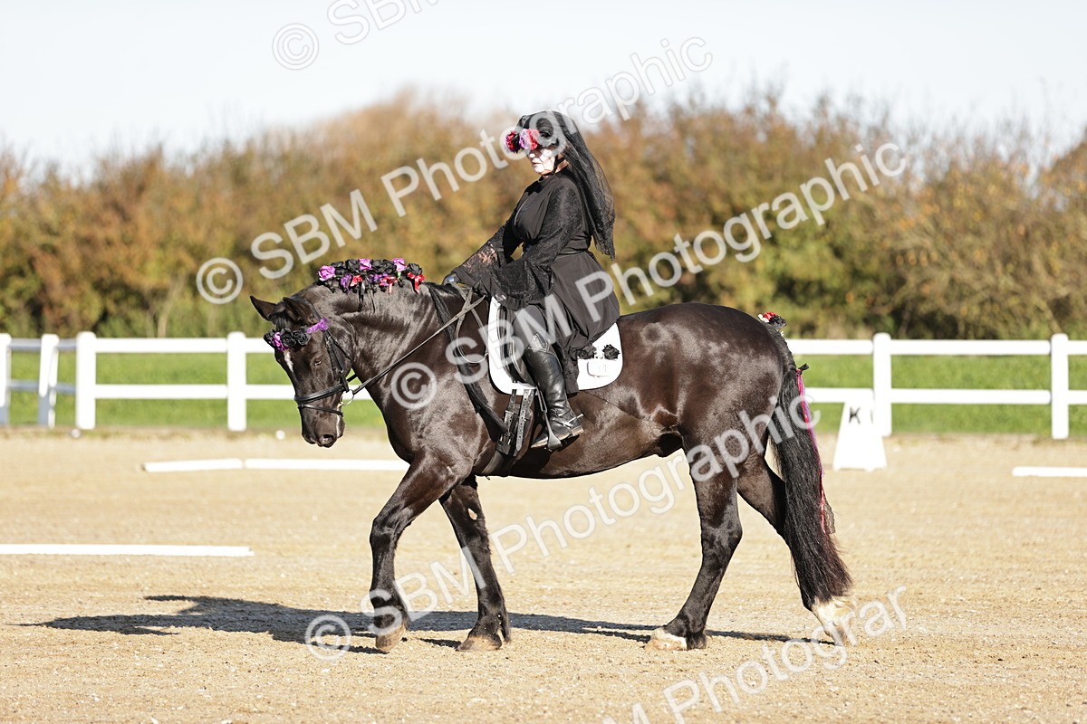 SBM_000901 - Class 3 - Intro C