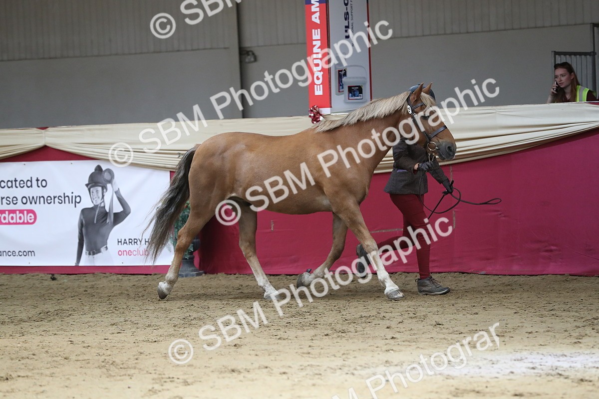 SBM_04371 - Class 7R Regional - IH Diamond