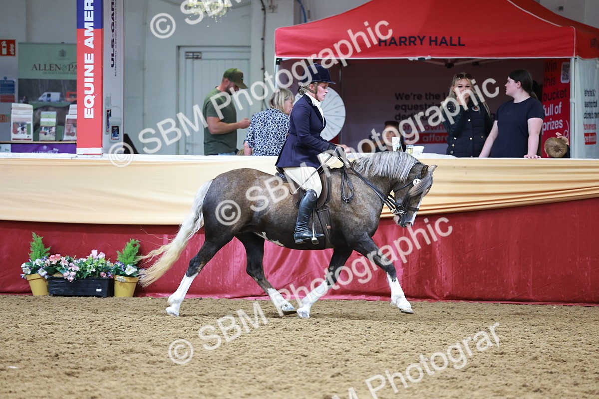 SBM_18634 - Class 952 - M&M Ridden Supreme Final