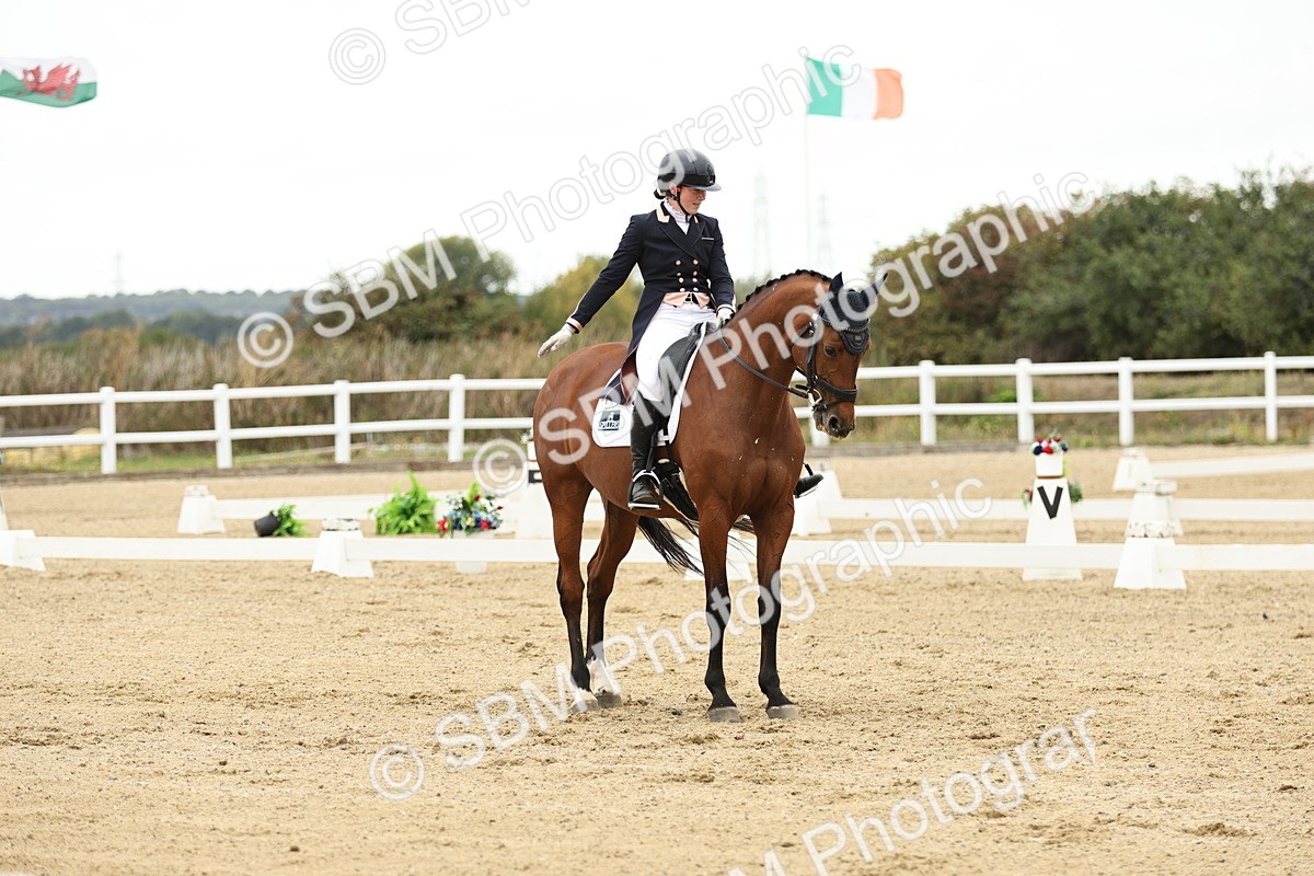 SBM_007211 - Class 25 - FEI PSG Bronze