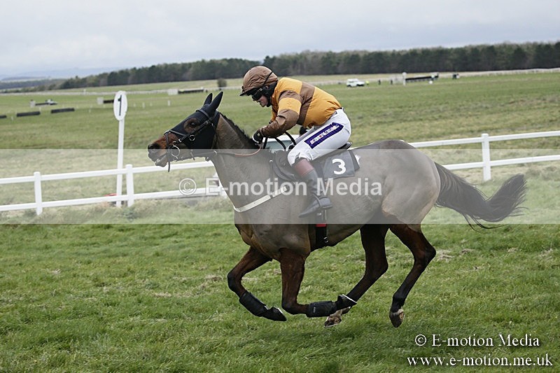 PtP 031217 176 - Hursley Hambledon Point-to-Point Larkhill 03/12/17
