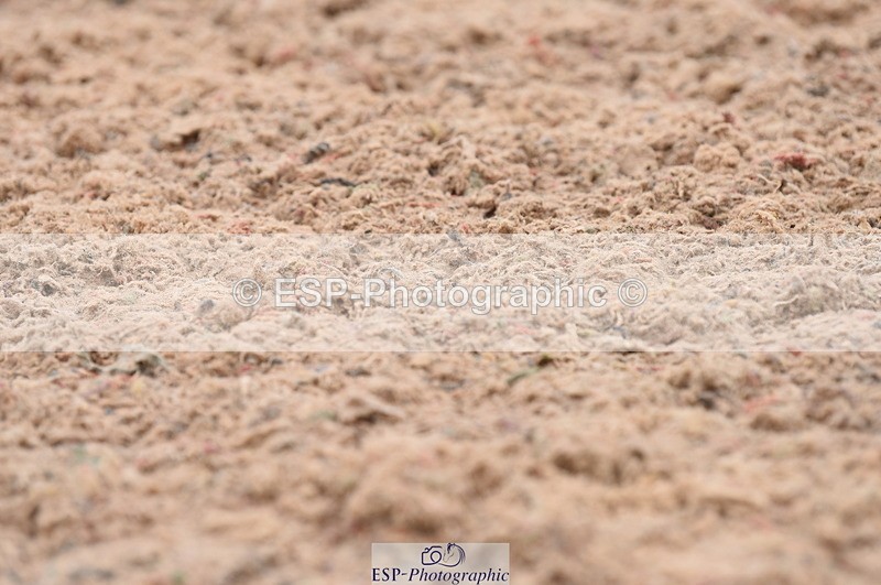 230708A-112554-01585 - Prelim 7