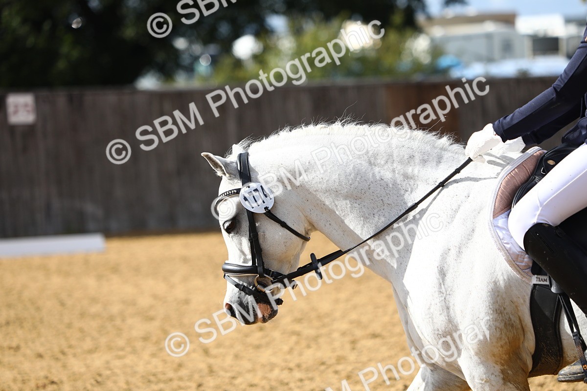 SBM_52353 - D23 - Junior Championship Prelim 1