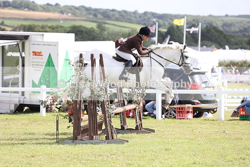 JPP_2585 - Class 20: Working Hunter 70cm