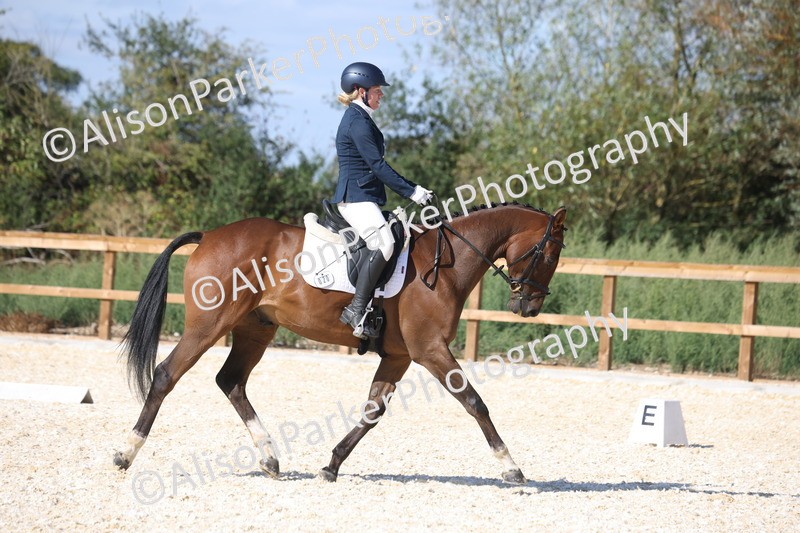 20260905-1482 - Class 5 - Novice 2