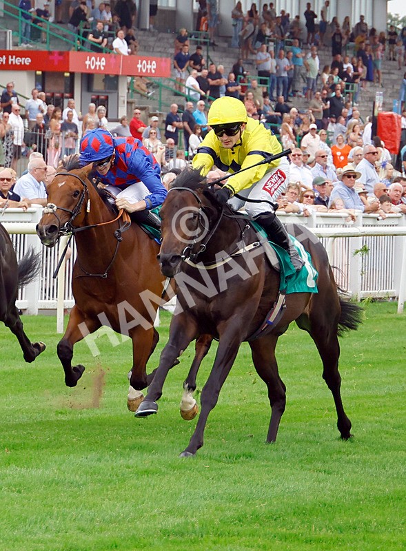 250725-Race 3-Lifeplan-88221 - Race 3