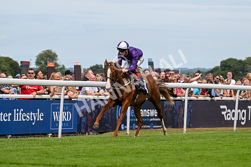 050725-Race 1-Vincenzo Peruggia-6976 - Race 1