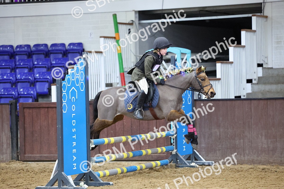 SBM_001144 - Class 3 - Christmas Tree Stakes - 60cm