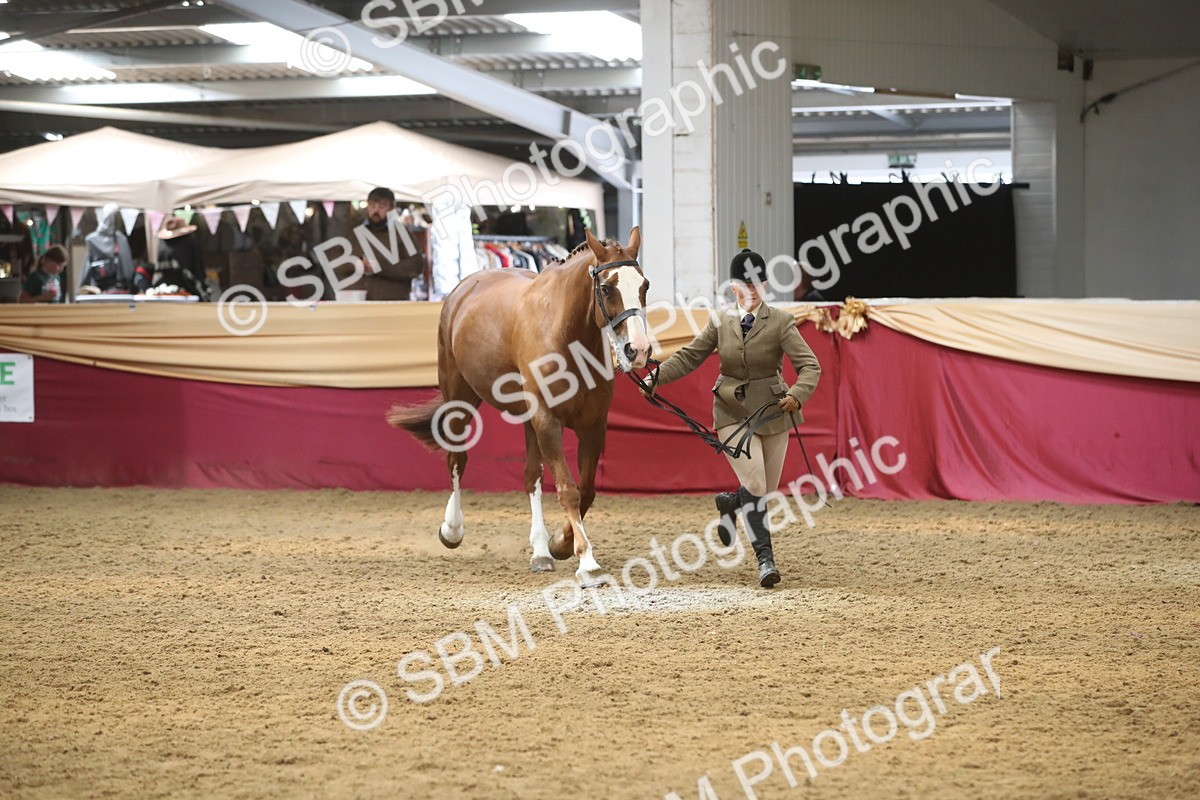 SBM_05661 - Class 9R - Regional IH Pre-Vet