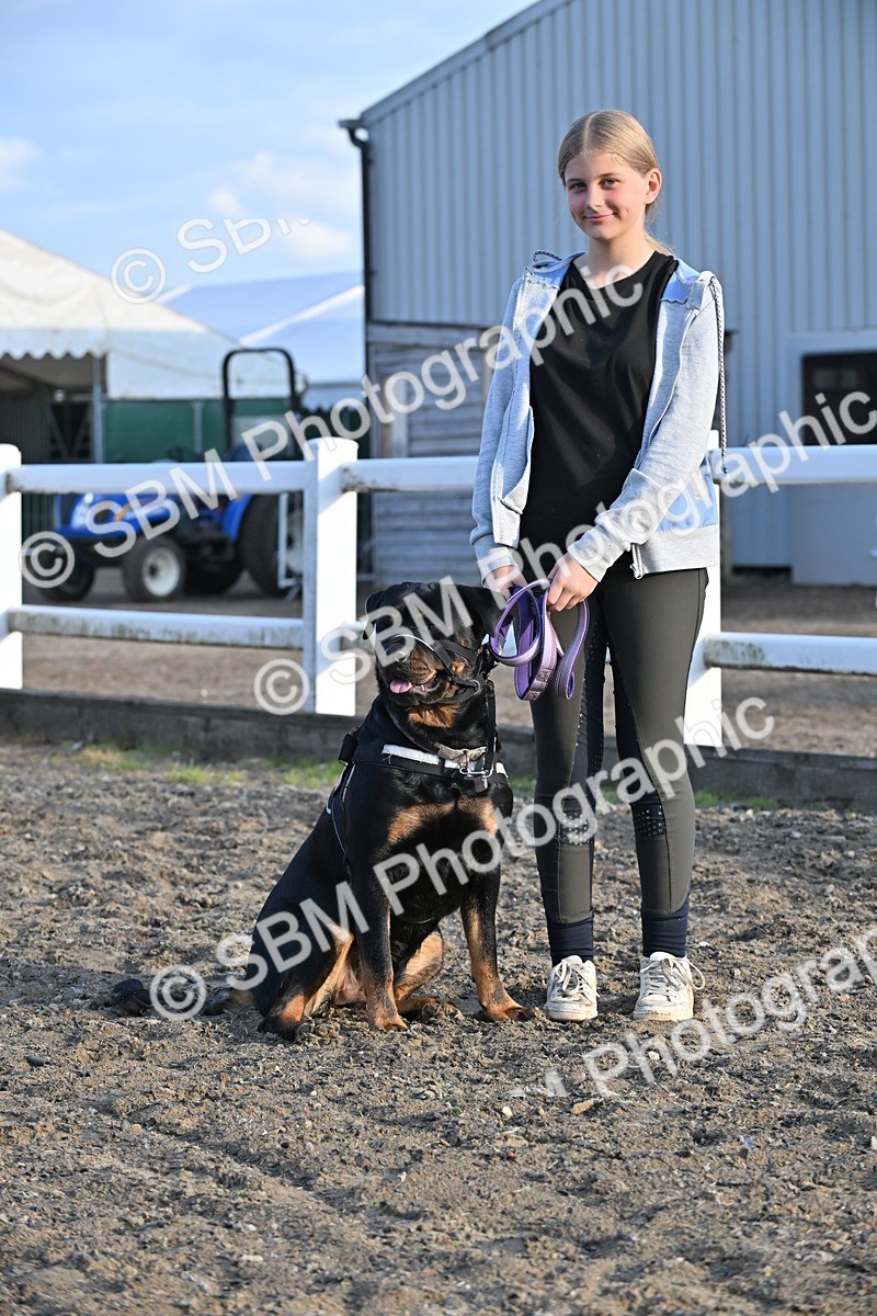 SBM_09435 - Lorry Dogs
