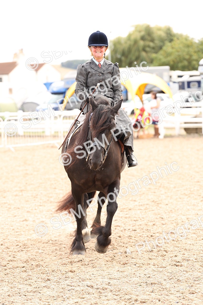 SBM_16401 - Class 211 - Best Side Saddle Horse - Pony