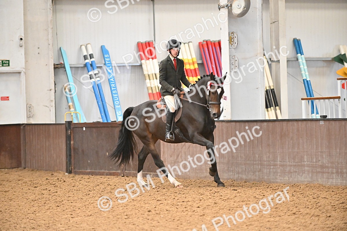 SBM_001459 - Class 19,20 - Ridden Native, Foreign Breeds & Warmbloods