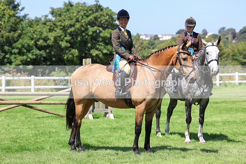 3E7A9101 - Class 6: Open Working Horse