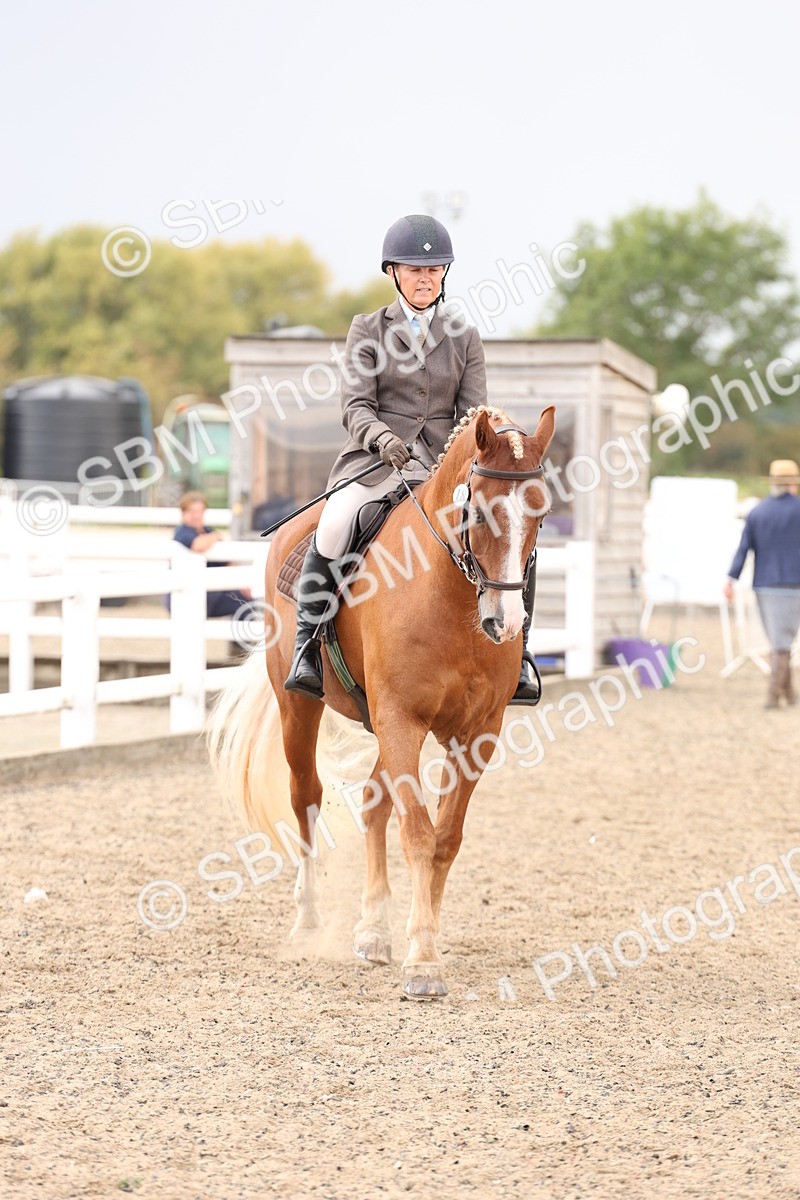 SBM_07468 - Class 59a -  Style & Performance - 80cm (15-19)