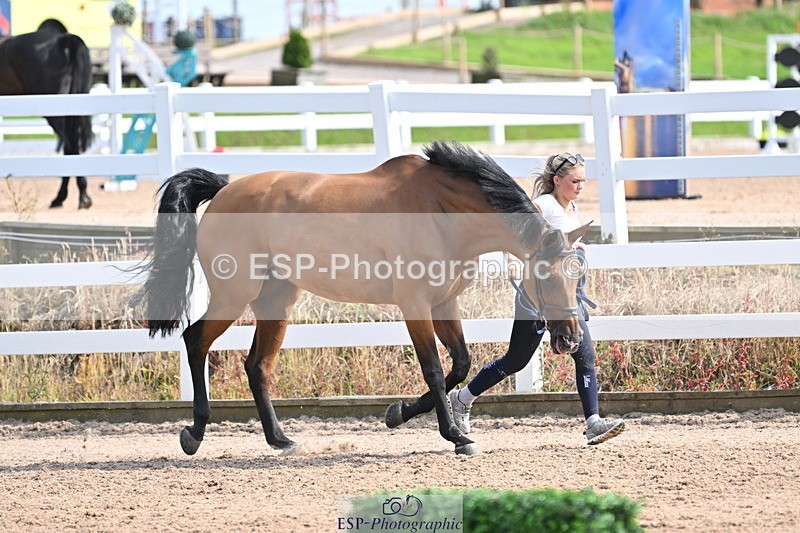 240717A-155453-03177 - Trot Up 3pm to 4pm