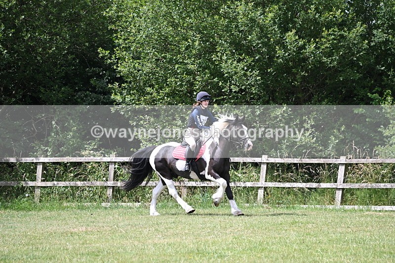 WJ6_6847 - 80cm XC Pairs