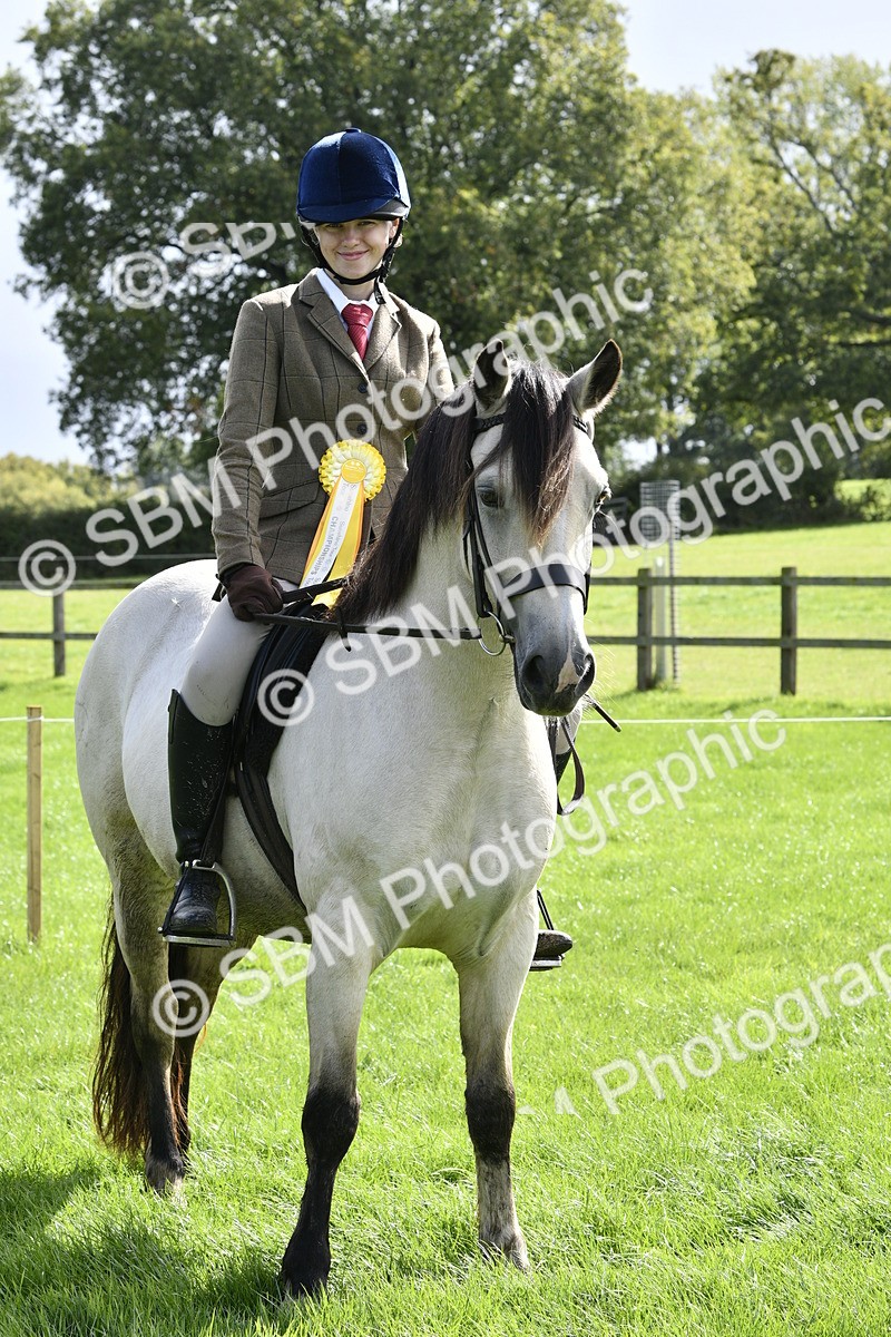 SBM_41686 - S32 - Mountain & Moorland Working Hunter Pony