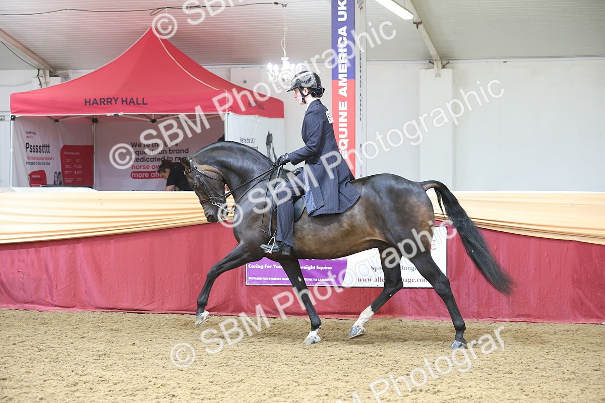 SBM_23773 - class 906 - Supreme Final - Ridden Pre Vet