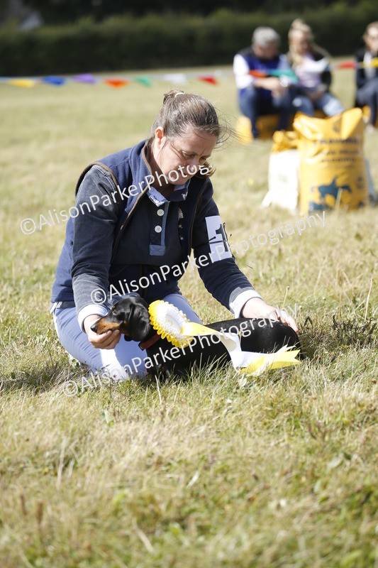 20250831-3819 - Dog Show