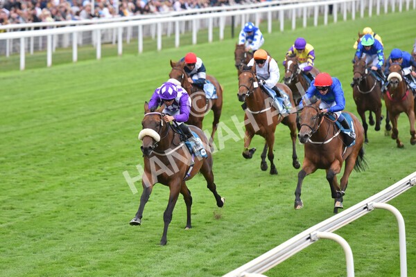 yr22072022r4-39 - Race 4 6.50pm The IRE Incentive It Pays To Buy Irish EBF Restricted Novice Stakes