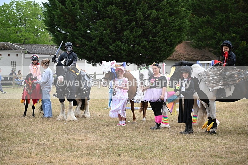 WJ6_9208 - Class 11 Fancy Dress