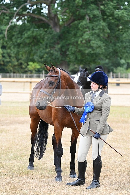WJ7_9255 - Class 4a Prettiest Mare 14.2hh and over