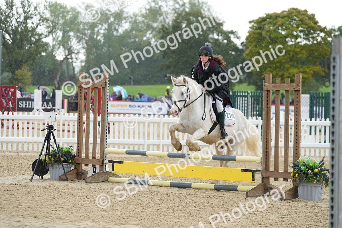 SBM_43267 - J7 - Junior Pony 60cm Championship