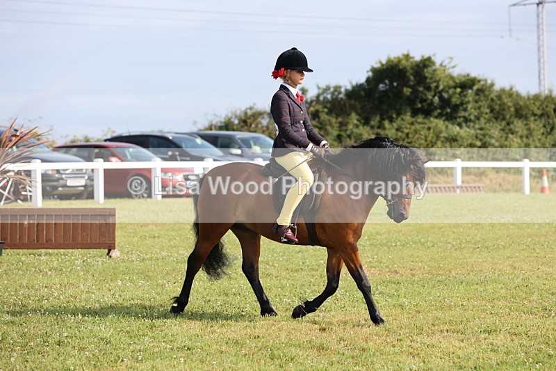 JPP_0523 - Class 15: Cornish Combination First Ridden